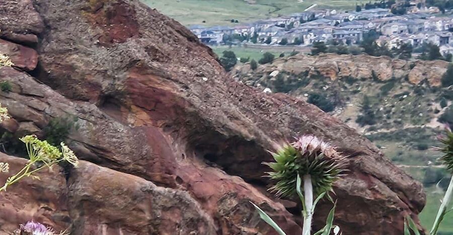 Rocky Mountain HIGH: Cannabis Mountain Tour - The dispensary visit in Denver: learning, discounts, and shopping time