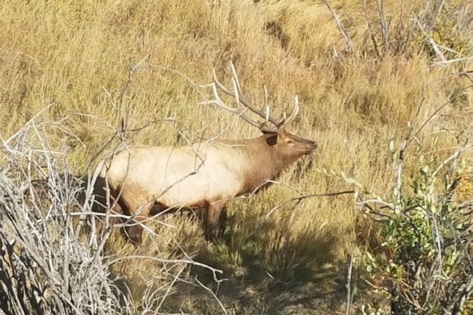 Rocky Mountain National Park and Estes Park Tour from Denver Winter and Spring - Price and Value: What $149 Buys You in a Winter Park Day