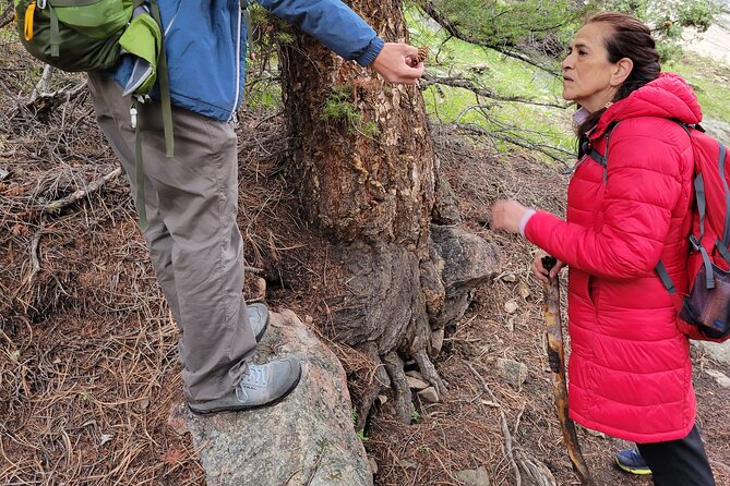Rocky Mountain National Park Half Day Hike - First Steps in Estes Park: Where You Start and How Easy It Feels