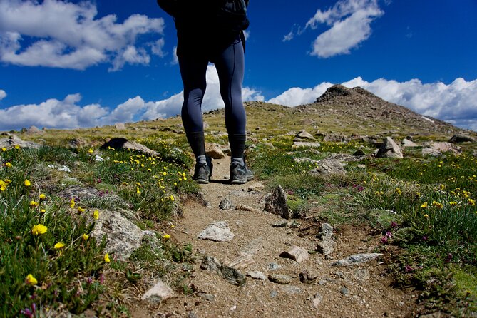 Rocky Mountain National Park Half Day Hike - Price and Value: Is $155 Worth It?