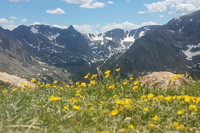 Rocky Mountain National Park in Summer Tour from Denver - Key Things to Know Before You Go