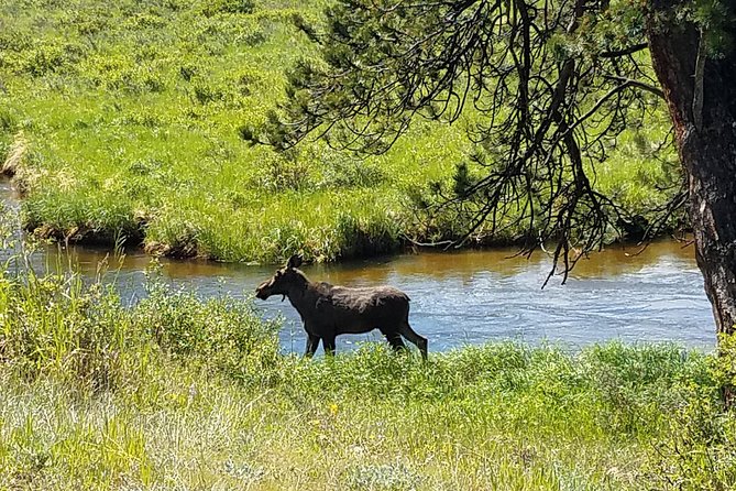 Rocky Mountain National Park in Summer Tour from Denver - Alluvial Fan Stop: Walk Where Water and Rock Did the Heavy Lifting