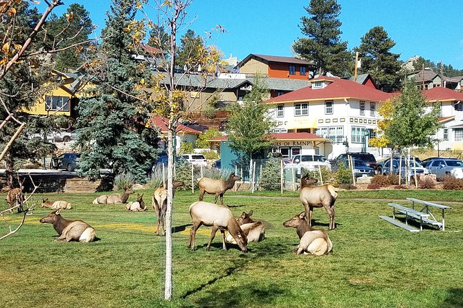 Rocky Mountain National Park in Summer Tour from Denver - The Day Plan Starts at Denver Union Station (8:15 AM)