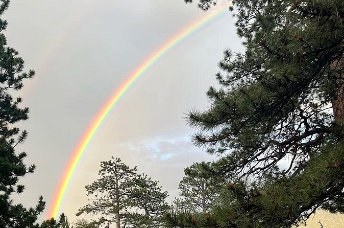 Rocky Mountain National Park The Best of Rocky Tour - Who should book the Best of Rocky tour (and who might skip it)