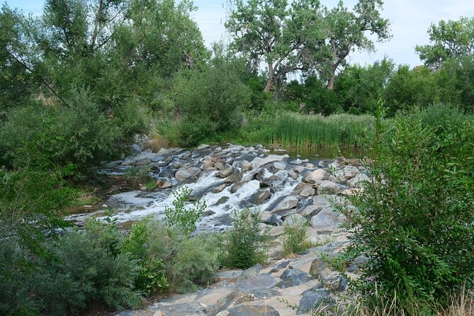 Scenic Ride Along the Cherry Creek Trail - By ebike or bike - Pickup, group size, and what the small-team format changes