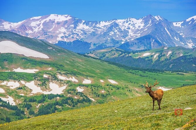Self-Guided Audio Driving Tour in Rocky Mountain National Park - Download it like you mean it: offline audio is key