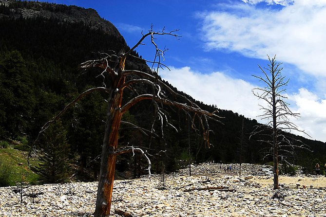 Small-Group Tour of the Rocky Mountain National Park from Denver - What you’ll actually see: Estes Park to the park’s big viewpoints
