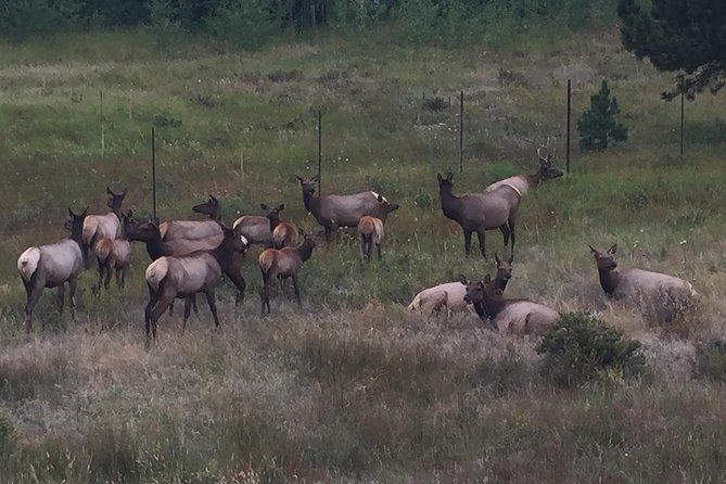 Small-Group Tour of the Rocky Mountain National Park from Denver - Estes Park and the Visitor Center breaks: short but useful
