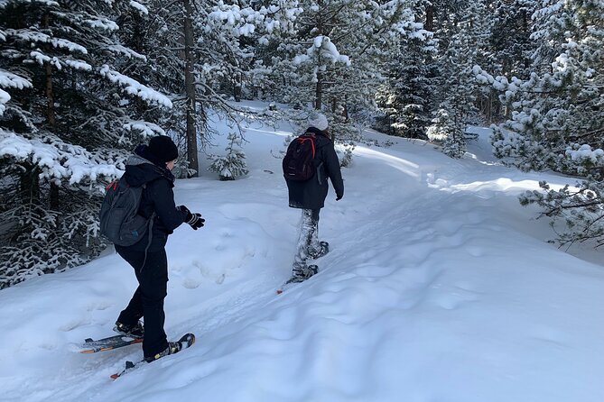 Snowshoeing Adventure in the Rocky Mountains Close to Denver - Conifer start: quick drive, real mountain feel