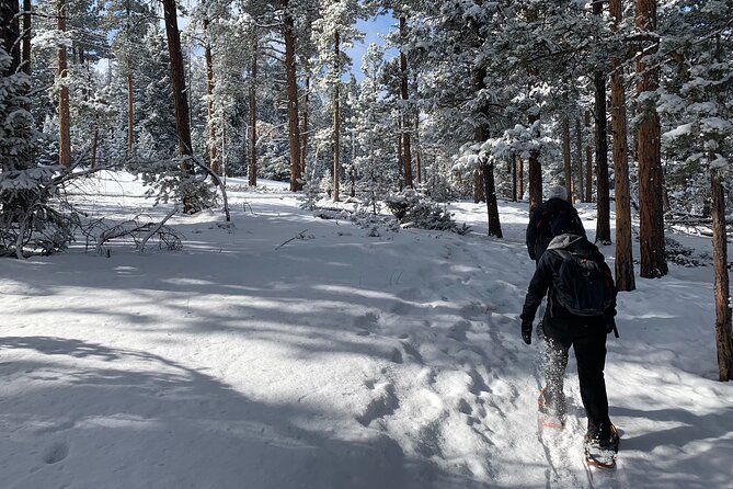 Snowshoeing Adventure in the Rocky Mountains Close to Denver - Fuel for winter effort: powerbar and sports drink