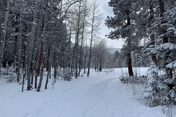 Snowshoeing Adventure in the Rocky Mountains Close to Denver - When weather and snow don’t cooperate