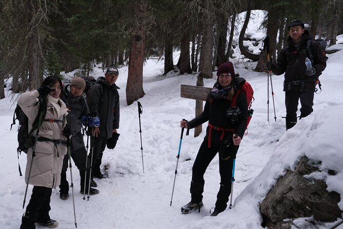 Snowshoeing in Rocky Mountains - Choosing the Right Winter Traction: Snowshoes vs Microspikes