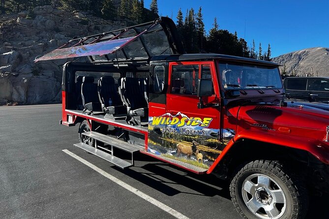 Sunset Wildlife Tour (Wildside 4x4 Tours) - Where you meet, what the ride is like, and how the group size helps