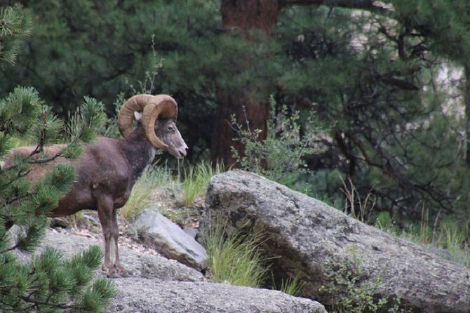 The Rocky Mountain National Park Safari Tour - Stop 1 inside Rocky Mountain National Park: meadows, rivers, waterfalls, and narration