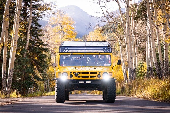 Winter Wonderland Adventure Tour | Sledding (Wildside 4x4 Tours) - Why this winter tour fits Estes Park best