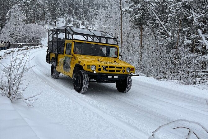 Winter Wonderland Adventure Tour | Sledding (Wildside 4x4 Tours) - Timing and group size: how the day stays enjoyable