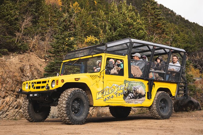 Winter Wonderland Adventure Tour | Sledding (Wildside 4x4 Tours) - The drive experience: safe winter tires and photo-friendly views
