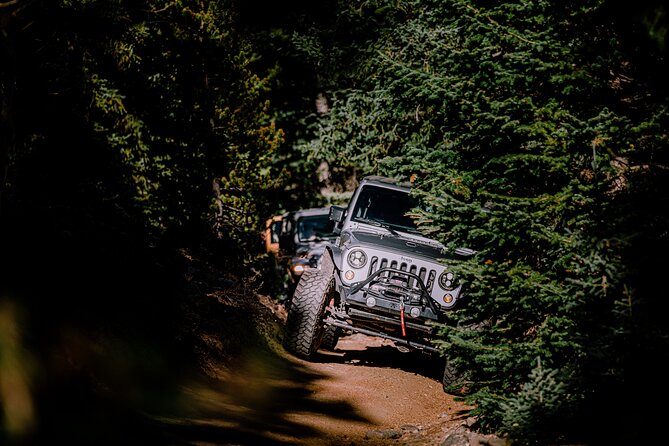 YOU Drive the Jeep! Guided 4x4 Tour in Idaho Springs (Denver) - Price and value: $550 per group up to 4